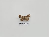 藏品(夜蛾12)的圖片